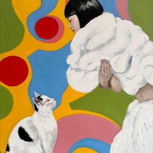 The Colourful World of a Black & White Cat