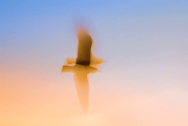 Original Abstract Nature Photography by Özgür Ülker