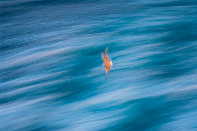 Original Abstract Nature Photography by Özgür Ülker