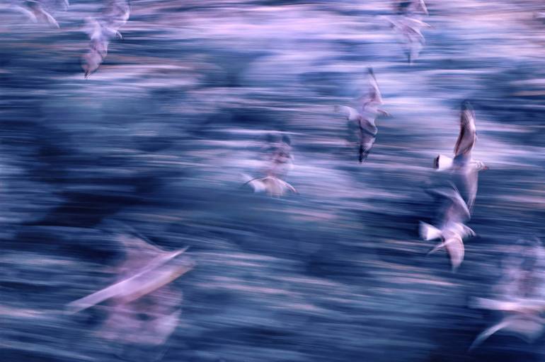 Original Abstract Nature Photography by Özgür Ülker