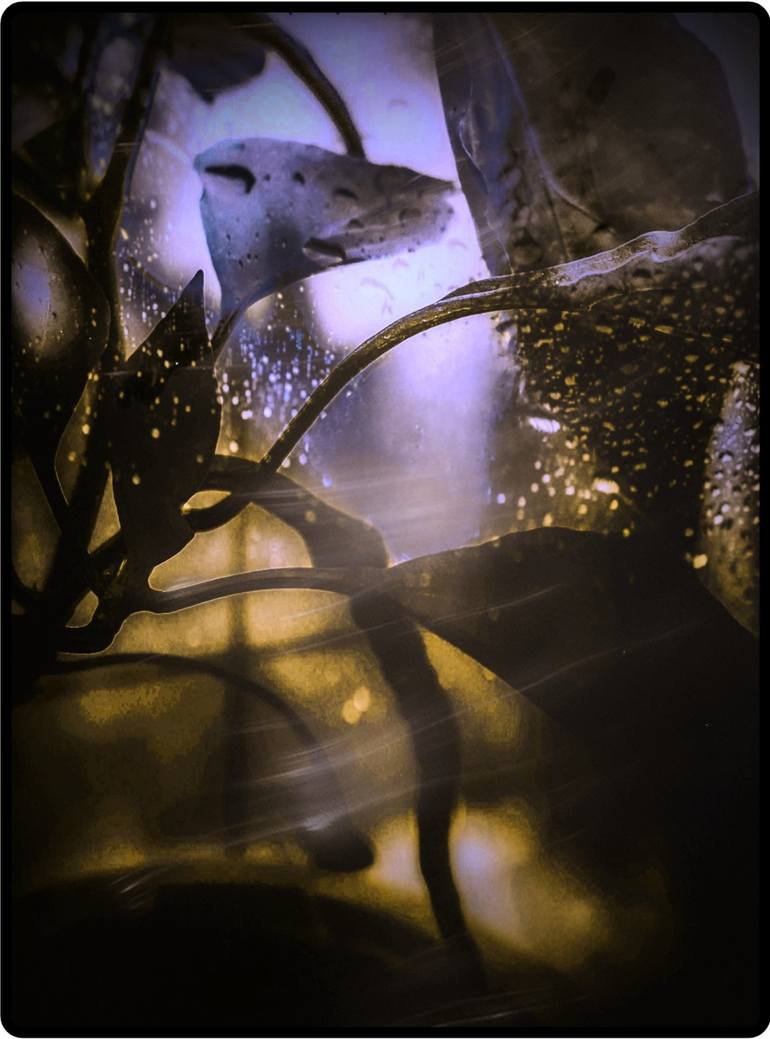 Print of Photorealism Abstract Photography by Banu  Muazzez Arpalı
