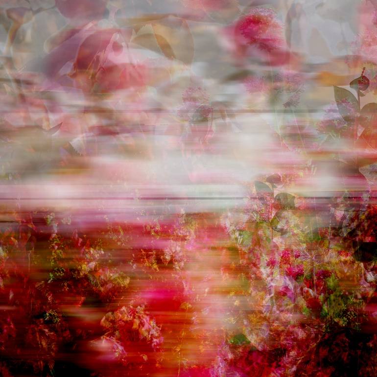 Original Abstract Floral Photography by Agnieszka Maria Zieba
