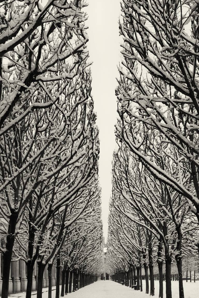 Print of Expressionism Landscape Photography by Hélène Vallas Vincent