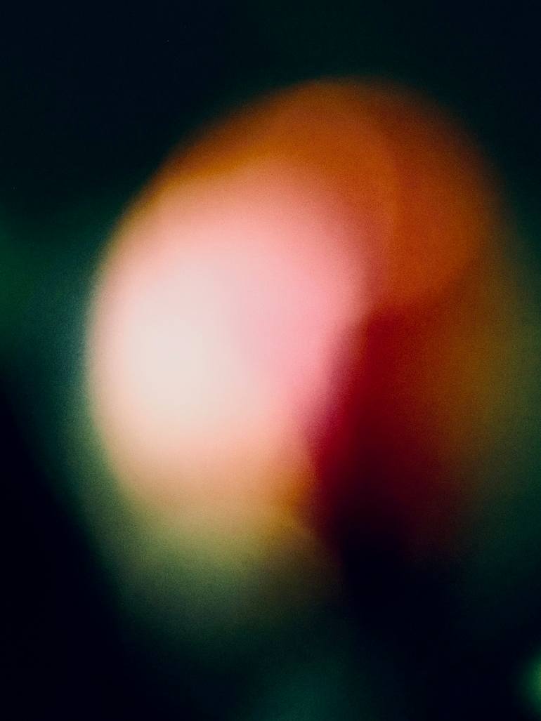 Print of Abstract Floral Photography by Angelo Dorigo