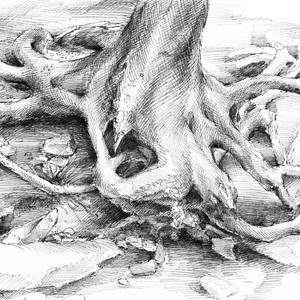 Roots and silent forest II.