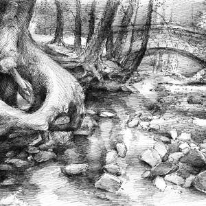 Roots and silent forest IV.