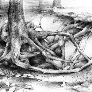 Roots and silent forest V.