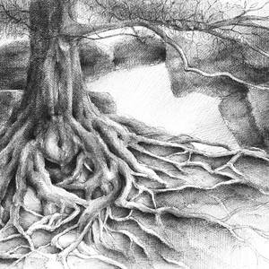Root and sandstone