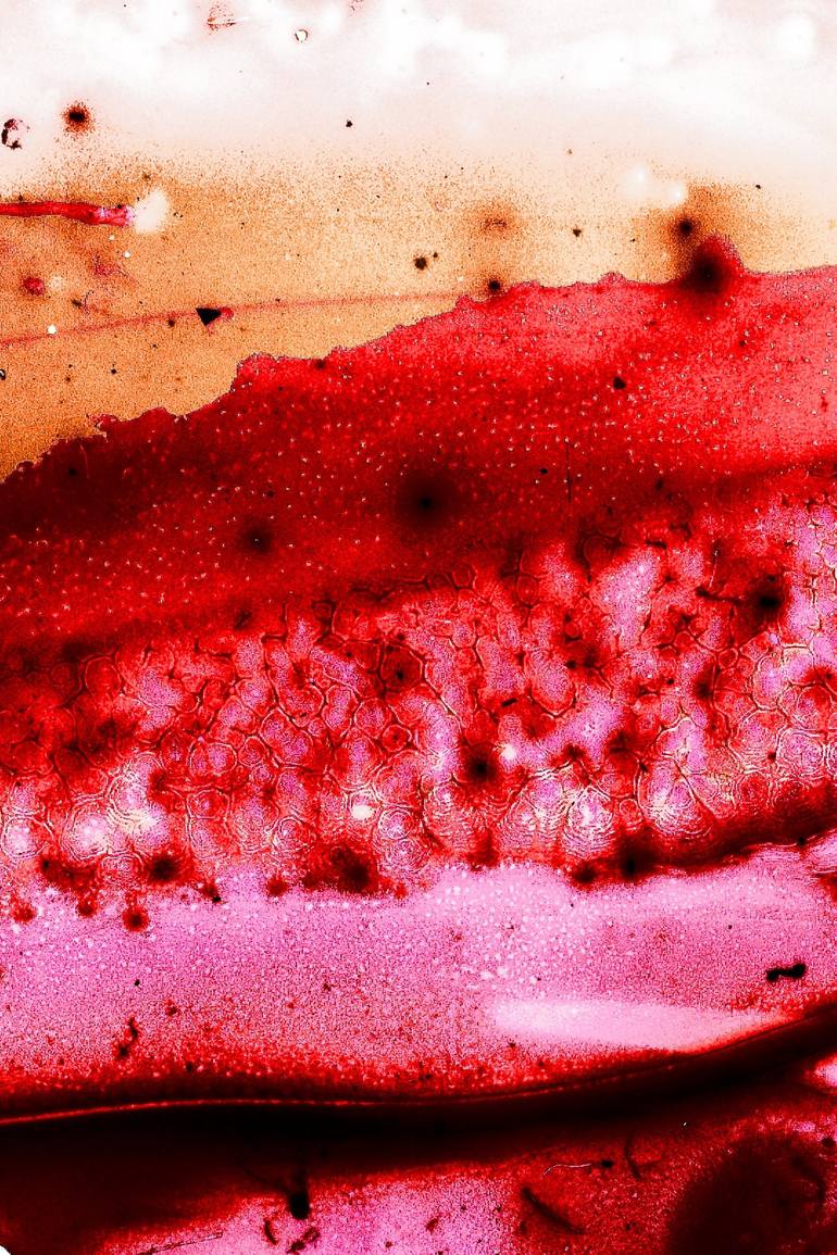 Print of Modernism Abstract Photography by Dale Battin