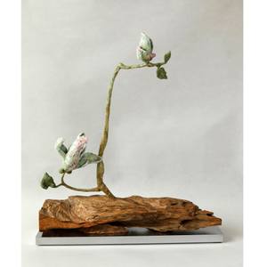 Silent Spring