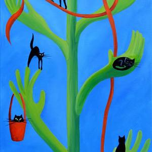 Black cats